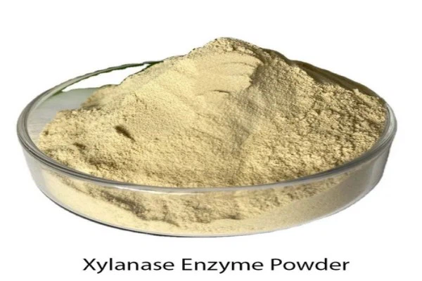 xylanase enzyme powder xylanase enzyme powder