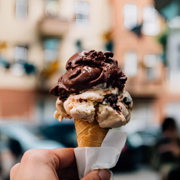 Emulsifier DMG POWDER For Food CAS NO.123-94-4