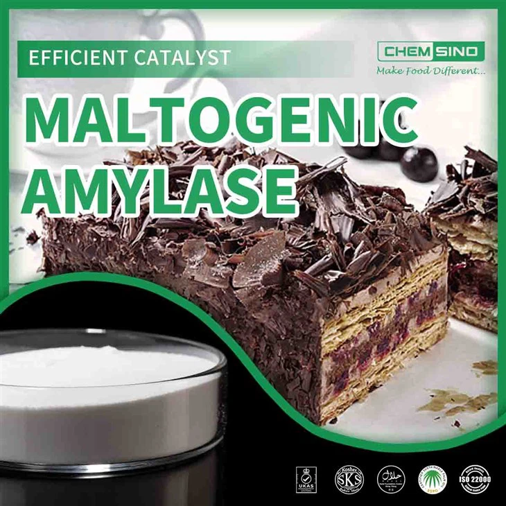 マルトース生成アミラーゼ: 最高の料理を支える風味エンジニア。CAS NO. 9000-92-4