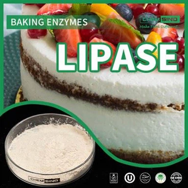 脂肪吸収の強化: リパーゼ酵素の利点を発見してください CAS NO.:9001-62-1