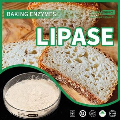 体に正しくエネルギーを補給: 栄養素の利用を高めるリパーゼ酵素 CAS NO.:9001-62-1