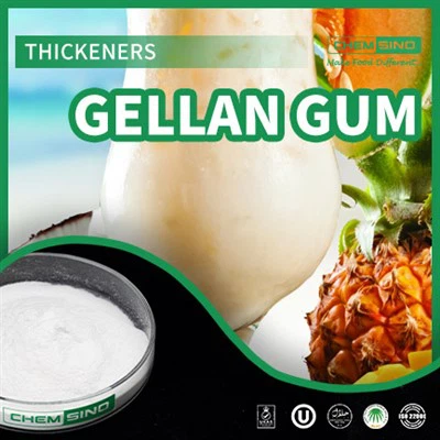 Gellan Gum in Modern Cuisine: Redefining Texture And Presentation CAS NO.71010-52-1
