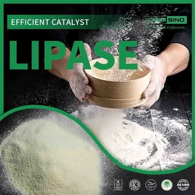腸に優しい生活はここから始まります: リパーゼ酵素の利点 CAS NO.:9001-62-1