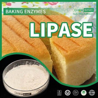 革新的なリパーゼ酵素技術: より優れた消化が待っています CAS NO.:9001-62-1
