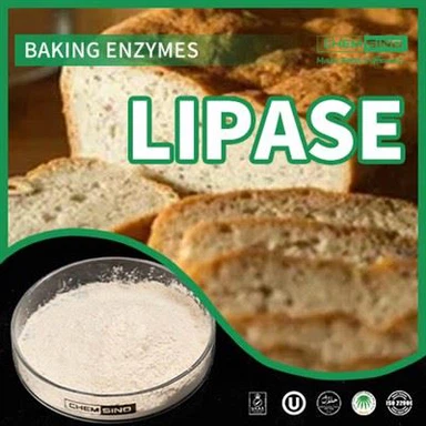 リパーゼ酵素サプリメントで消化力を解放しましょう! CAS番号:9001-62-1